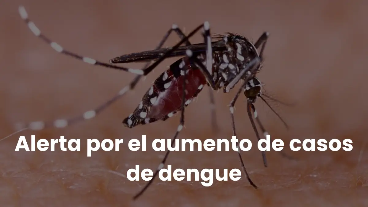 Aumento en casos de Dengue en el departamento de Córdoba